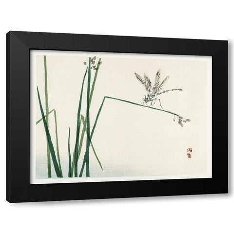 Kono Bairei Dragonflies I Black Modern Wood Framed Art Print by Vision Studio