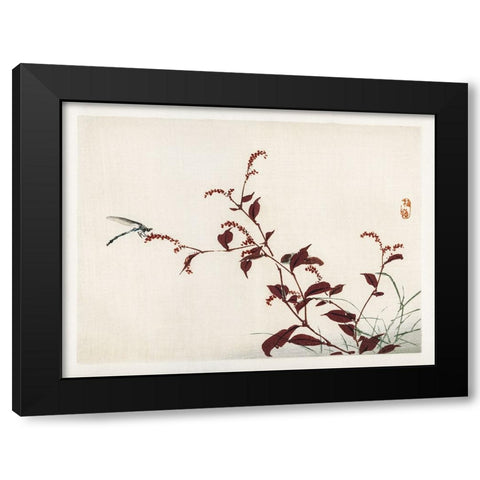 Kono Bairei Dragonflies II Black Modern Wood Framed Art Print by Vision Studio