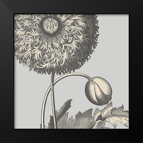 Besler Poppy Composition I Black Modern Wood Framed Art Print by Vision Studio