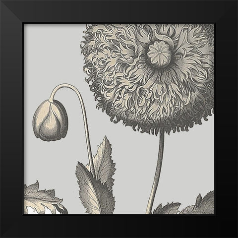 Besler Poppy Composition II Black Modern Wood Framed Art Print by Vision Studio