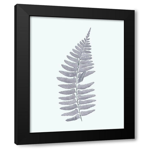 Antique Silver Ferns I Black Modern Wood Framed Art Print by Vision Studio