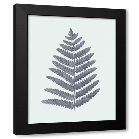 Antique Silver Ferns II Black Modern Wood Framed Art Print with Double Matting by Vision Studio