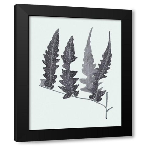 Antique Silver Ferns III Black Modern Wood Framed Art Print by Vision Studio