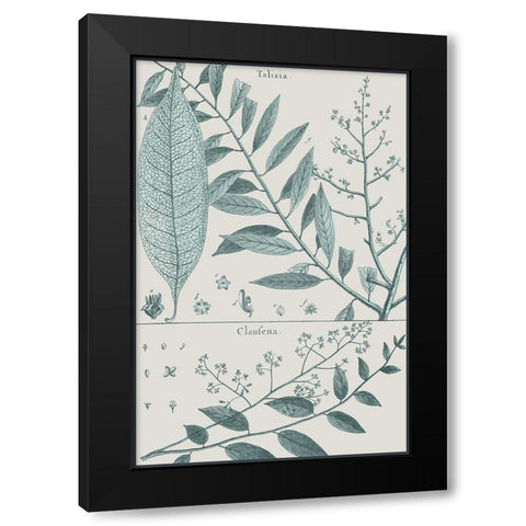 Antique Ferns Revival III Black Modern Wood Framed Art Print by Dedirot