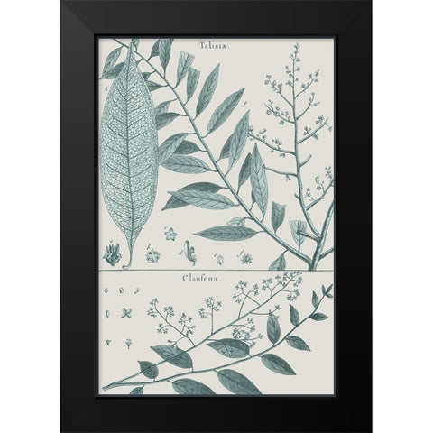 Antique Ferns Revival III Black Modern Wood Framed Art Print by Dedirot