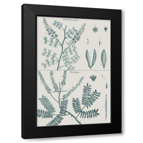 Antique Ferns Revival IV Black Modern Wood Framed Art Print with Double Matting by Dedirot