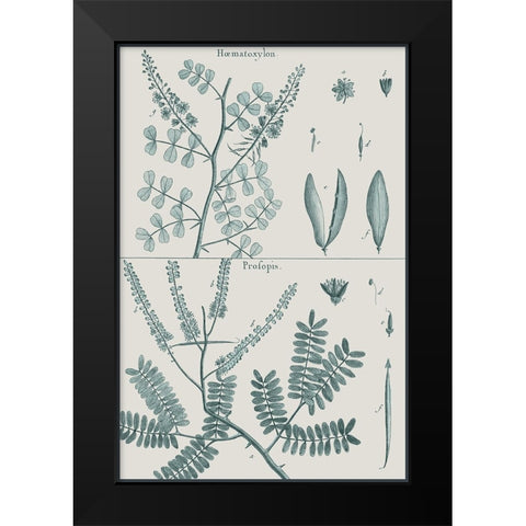 Antique Ferns Revival IV Black Modern Wood Framed Art Print by Dedirot
