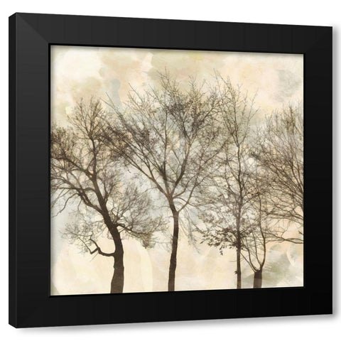 Falls Ending  II Black Modern Wood Framed Art Print with Double Matting by Saunders, Alonzo