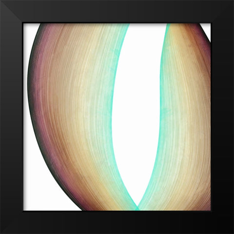 Inner Pathways  I Black Modern Wood Framed Art Print by Saunders, Alonzo