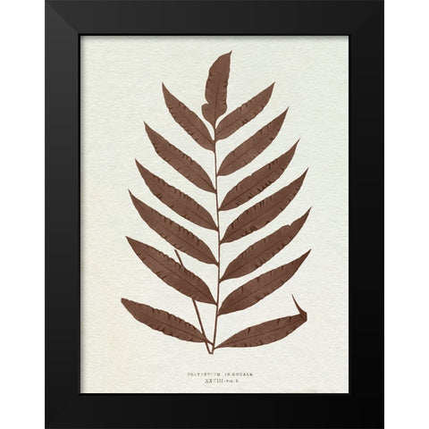 Lowe Sepia Fern VIII Black Modern Wood Framed Art Print by Lowe, E.J.