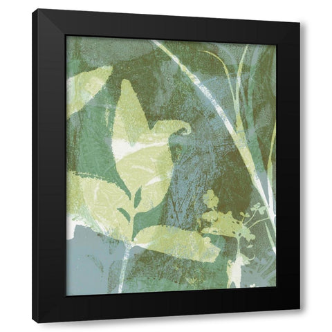 Serene Botany II Black Modern Wood Framed Art Print with Double Matting by Barnes, Victoria