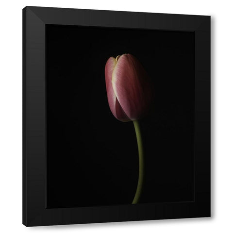 Beautiful Curve I Black Modern Wood Framed Art Print with Double Matting by McLean, Leah