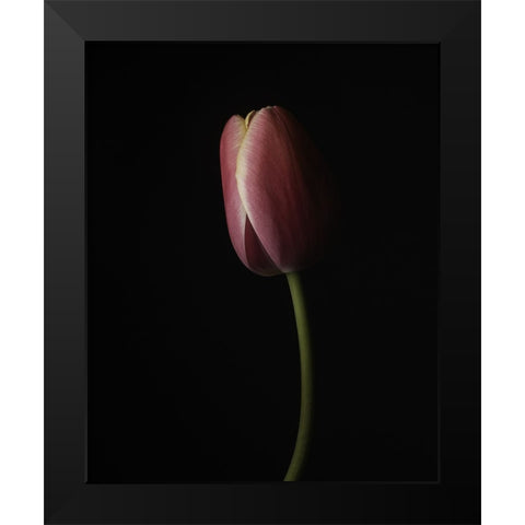 Beautiful Curve I Black Modern Wood Framed Art Print by McLean, Leah