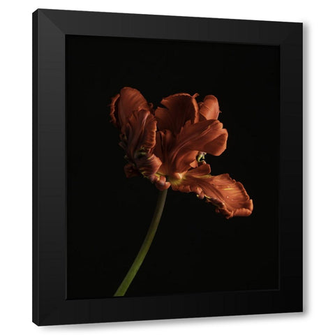 Beautiful Curve II Black Modern Wood Framed Art Print by McLean, Leah