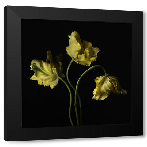 Beautiful Curve III Black Modern Wood Framed Art Print by McLean, Leah