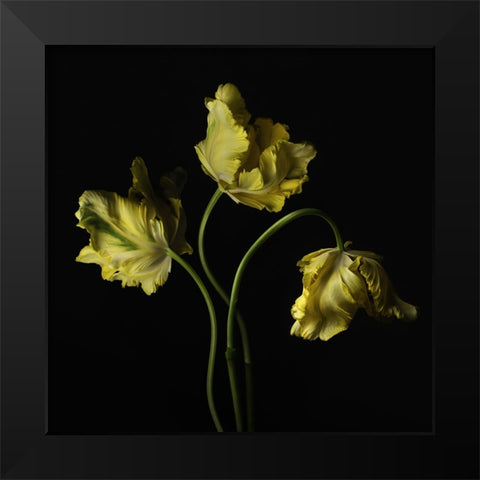 Beautiful Curve III Black Modern Wood Framed Art Print by McLean, Leah