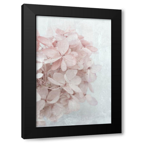 Frosted Over I Black Modern Wood Framed Art Print with Double Matting by Stalus, Judy