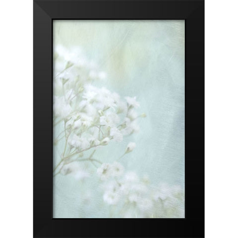 Soft Whisper I Black Modern Wood Framed Art Print by Stalus, Judy