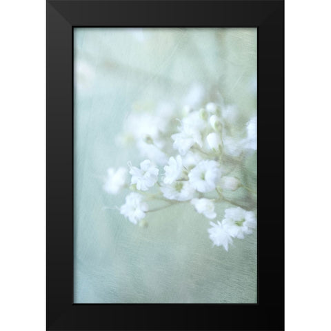 Soft Whisper IV Black Modern Wood Framed Art Print by Stalus, Judy
