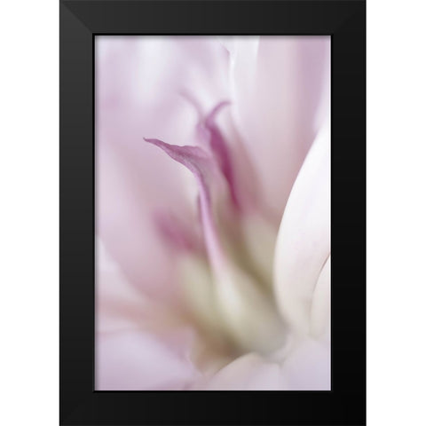 Maiden I Black Modern Wood Framed Art Print by Stalus, Judy