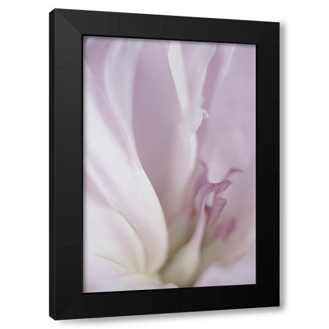 Maiden II Black Modern Wood Framed Art Print with Double Matting by Stalus, Judy
