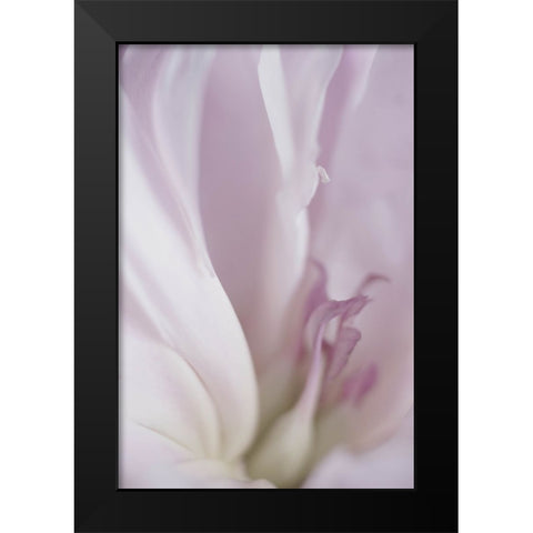 Maiden II Black Modern Wood Framed Art Print by Stalus, Judy