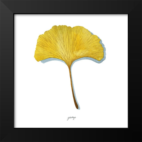 Golden Ginkgo Study I Black Modern Wood Framed Art Print by Popp, Grace