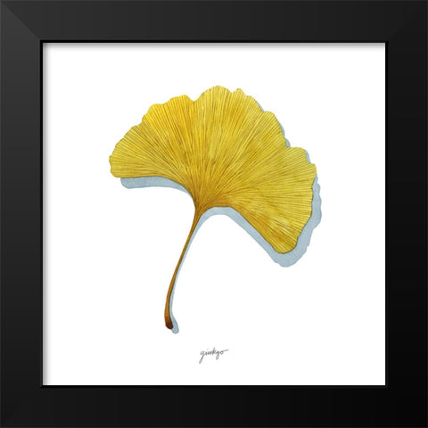 Golden Ginkgo Study II Black Modern Wood Framed Art Print by Popp, Grace
