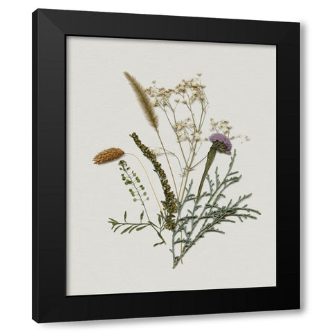 Pressed Autumn Blooms II Black Modern Wood Framed Art Print with Double Matting by Barnes, Victoria