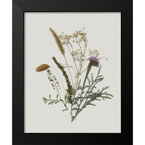 Pressed Autumn Blooms II Black Modern Wood Framed Art Print by Barnes, Victoria