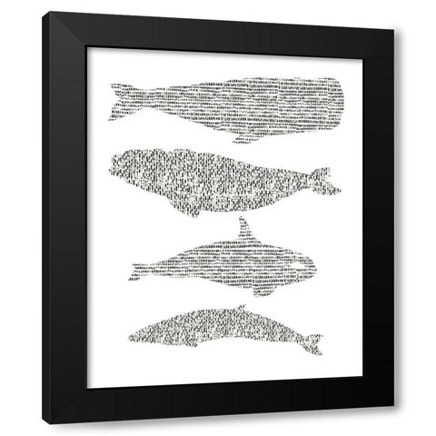 Dashed Whale Chart I Black Modern Wood Framed Art Print with Double Matting by Vision Studio
