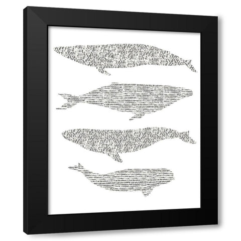 Dashed Whale Chart II Black Modern Wood Framed Art Print with Double Matting by Vision Studio
