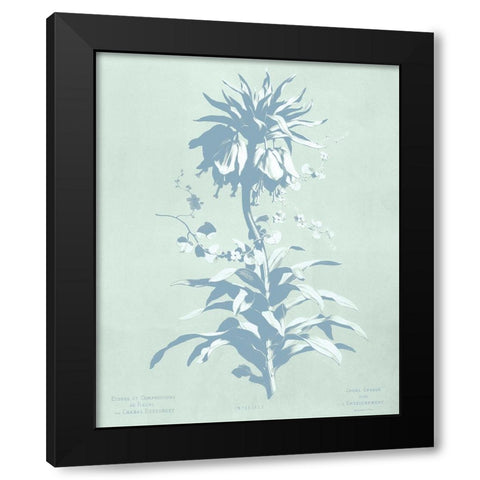 Mint Lilium I Black Modern Wood Framed Art Print by Dussurgey, Chabal