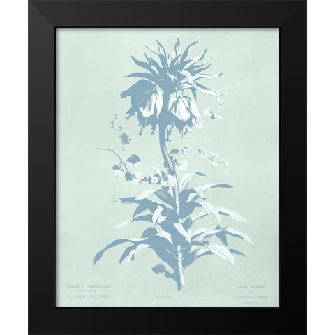 Mint Lilium I Black Modern Wood Framed Art Print by Dussurgey, Chabal