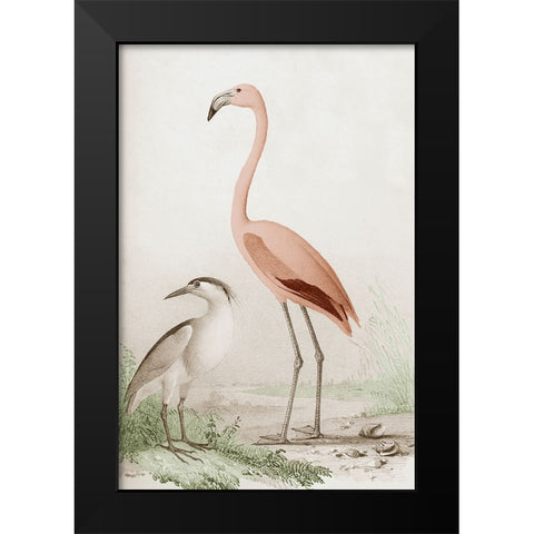 Antique Chroma Waterbirds I Black Modern Wood Framed Art Print by Unknown