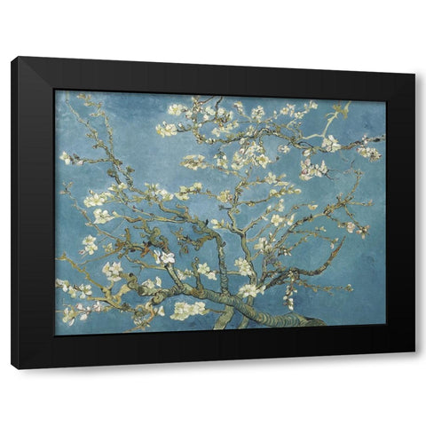 Van Goghs Almond Blossom Black Modern Wood Framed Art Print with Double Matting by Van Gogh, Vincent