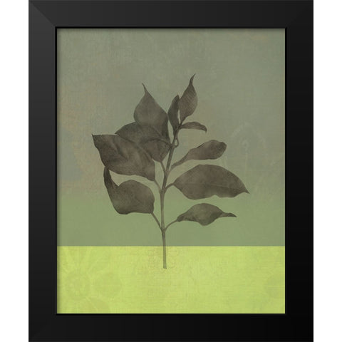 Leaves Green II Black Modern Wood Framed Art Print by Bagnato, Judi