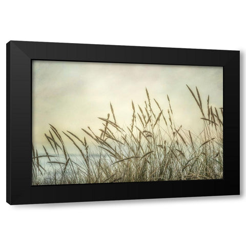 Summer Sea Breeze Black Modern Wood Framed Art Print by Poinski, Dianne