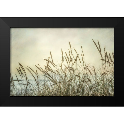 Summer Sea Breeze Black Modern Wood Framed Art Print by Poinski, Dianne