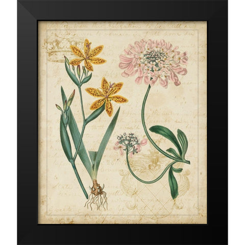 Botanical Repertoire I Black Modern Wood Framed Art Print by Vision Studio