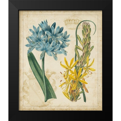 Botanical Repertoire II Black Modern Wood Framed Art Print by Vision Studio