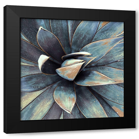 Succulent in Teal I Black Modern Wood Framed Art Print by Orlov, Irena