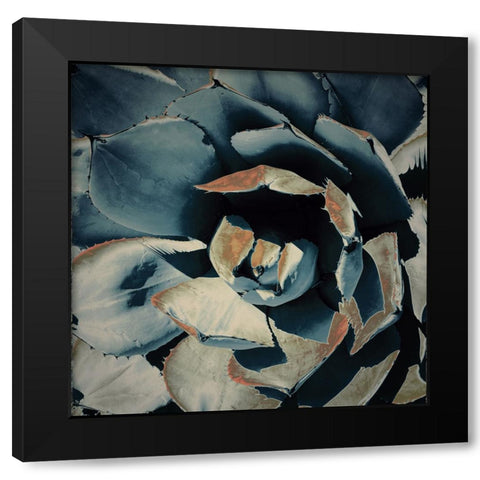 Succulent in Teal II Black Modern Wood Framed Art Print with Double Matting by Orlov, Irena