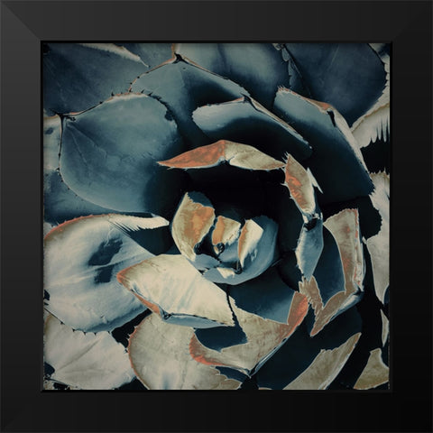 Succulent in Teal II Black Modern Wood Framed Art Print by Orlov, Irena