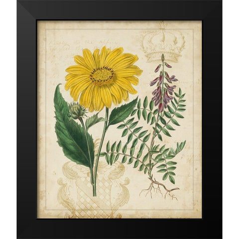 Botanical Repertoire III Black Modern Wood Framed Art Print by Vision Studio