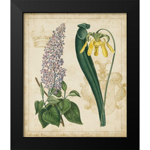 Botanical Repertoire IV Black Modern Wood Framed Art Print by Vision Studio