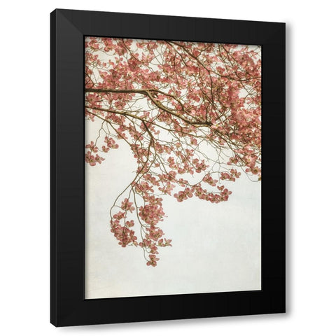 Quiet Spring  I Black Modern Wood Framed Art Print by Poinski, Dianne