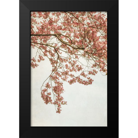 Quiet Spring  I Black Modern Wood Framed Art Print by Poinski, Dianne