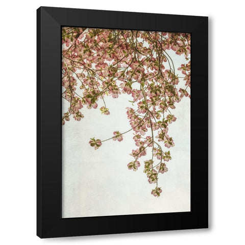 Quiet Spring  II Black Modern Wood Framed Art Print with Double Matting by Poinski, Dianne
