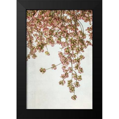 Quiet Spring  II Black Modern Wood Framed Art Print by Poinski, Dianne